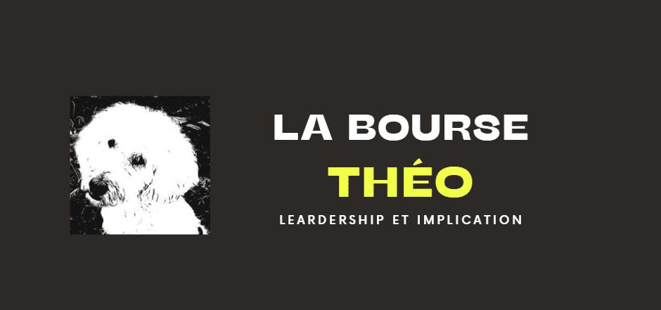 Logo Bourse Théo