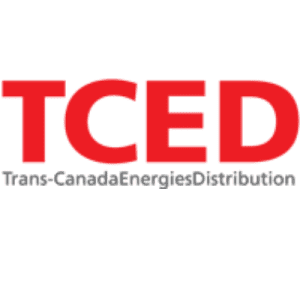 Logo TCED
