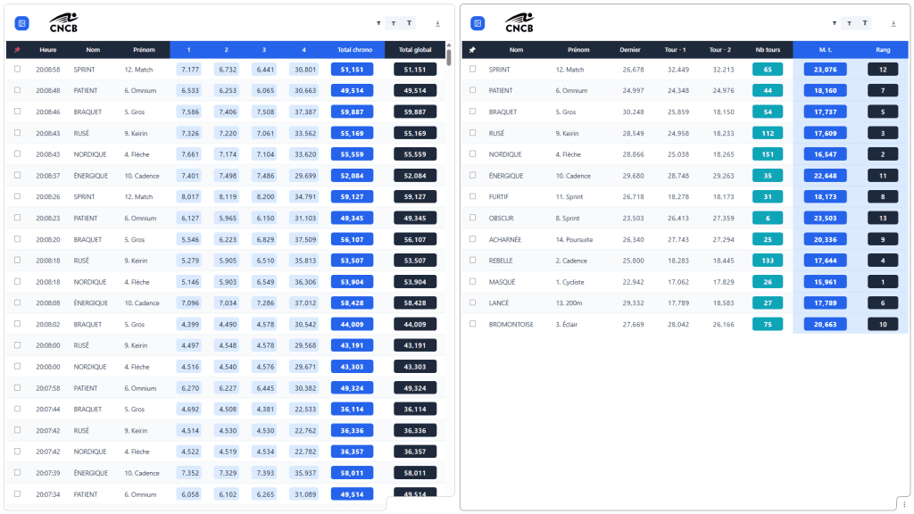 Overview of the overall ranking of the track chip system